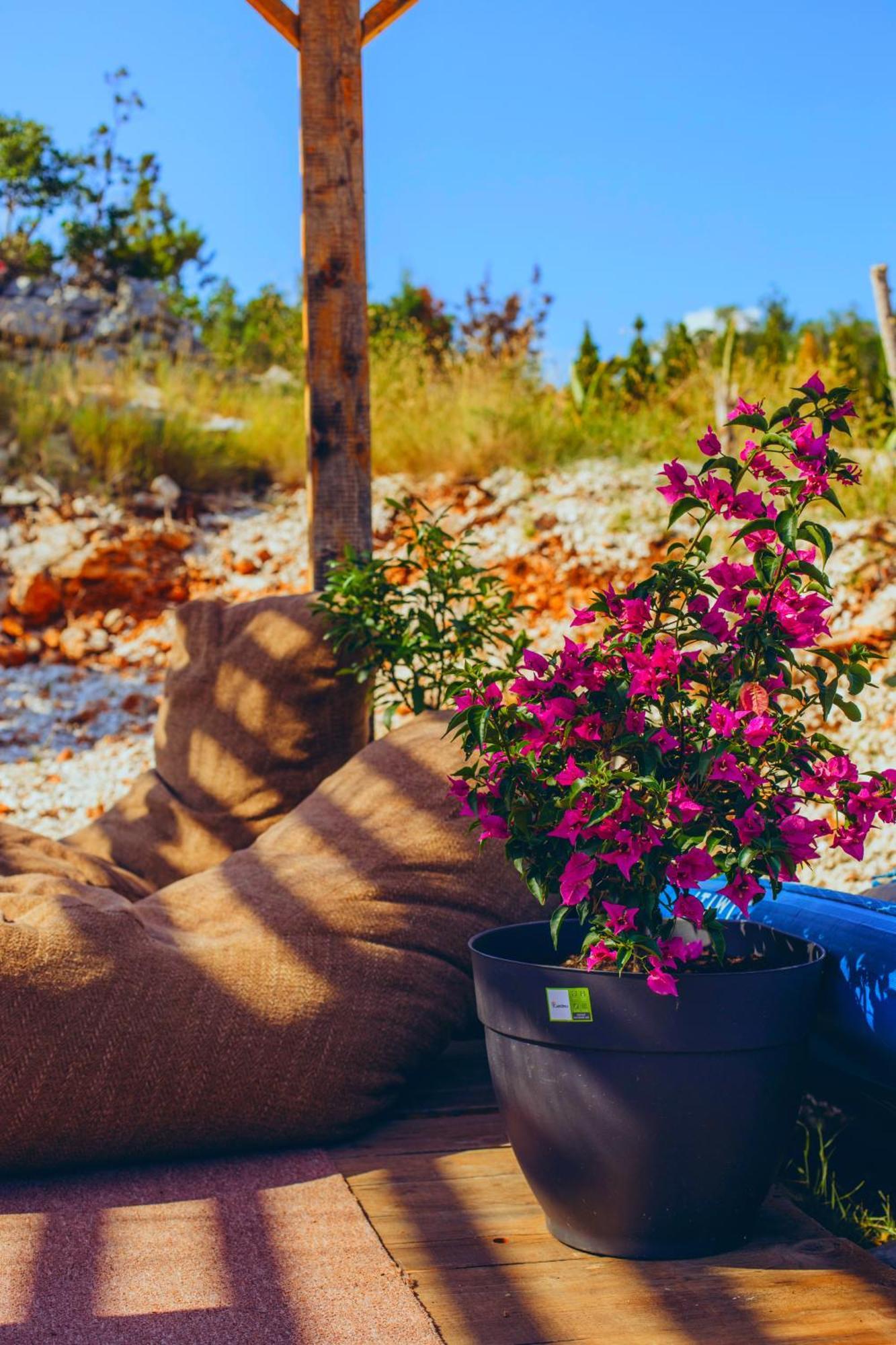 Glamp Tente de luxe Rose